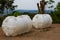 Close-up of two large water storage tanks outdoors