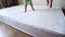 Close up of two little children, brother and sister, jumping on mattress. Cheerful active kids having fun playing during