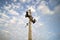 Close up of two outdoor megaphones on pole with two black birds against blue cloudy sky. Two old-looking dusty loudspeakers on the