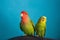 A close up of two parrots - rosy-faced lovebird and budgie sitting on the cage