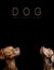 Close-up of two puppy dogs looking up at a sign with the words: Dog, man\\\'s best friend. Generative AI.