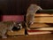 Close-up two rat climbs on old books on the flooring in the library.