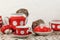 Close-up two rats and red tea set on countertop at kitchen in an apartment house.