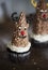 Close up of Two reindeer cupcakes for christmas season