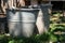 Close up of two rusty iron buckets in grass in the garden. Dirty gray metallic bucket with garbage on barnyard at sunny day