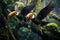 Close-up of two toucan flying outdoors