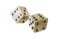 Close-up of two white Watercolor dice against white background