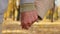 Close up two wrinkled hands elderly couple hold arms together romantic gesture old middle-aged family grandparents