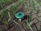 Close-up of the ultrasonic, solar-powered mole repellent or repeller device in the soil in a vegetable bed among small onion