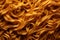 Close up of uncooked pasta. Whole background. Top view.