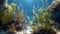 Close up of underwater seaweed plants on sea bottom