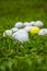 Close-up of unfocused grass and a group of white golf balls on grass, vertical,