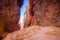 Close up of unique hoodoos at Bryce Canyon