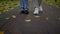 Close up unknown people walking in comfortable stylish shoes. Friends feet