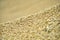 Close-up of unprocessed grain piled in a pile.