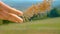 CLOSE UP Unrecognizable female farmer sows seeds in the scenic green countryside