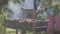 Close-up of unrecognizable men making bbq in the garden. Summertime leisure. Friends cooking meat on the grill.