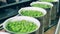 Close up of unsealed tin cans with peas on the conveyor