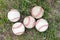 Close-up used baseballs on green grass field, sport concept