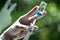 Close up vaccines bottle and hypodermic syringe in hands with glove. Covid-19 or illness concept