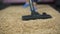 Close-up of vacuum cleaner sweeping dust from expensive rug, household hygiene