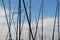 A close up of various masts of sailing ships