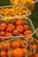 Close up of various types of little tomatoes
