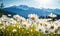 Close-up vast field of delicate white daisies under a clear sky, with towering alpine mountains in the backdrop. Created by AI
