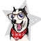 Close up vector portrait of Siberian husky dog wears winter bandana and glasses. Isolated on star. Skecthed color