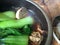 Close up of Vegan bak kut teh soup