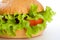 Close-up of vegetarian healthy hamburger