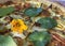 Close-up of vegetarian pie with edible flower.