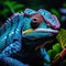 Close up of a veiled chameleon.