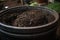 close-up of vermicomposting bin, with writhing worms visible