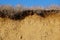 Close up of vertical cliff face with mixed rocks and soil horizons