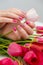 Close up vertical shot of woman hands with spring manicure holding pink tulip on tulips bouquet background.