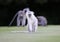 Close-up of Vervet Monkey on Golf Course