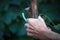 Close-up of a very old mans or womans hand is holding an old gnarled stick instead of a cane