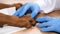 Close-up of a veterinarian\'s hand in medical gloves examining the paws of a large brown dog.