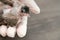 Close up of veterinarians hands in surgical gloves holding small bird, after attacked and injured by a cat