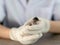 Close up of veterinarians hands in surgical gloves holding small bird, after attacked and injured by a cat