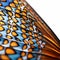 Close Up of a Vibrant Butterfly Wing