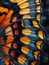 Close-up of a vibrant butterfly wing