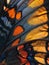 Close-up of a vibrant butterfly wing