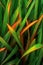 close-up of vibrant grass blades texture