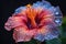 close-up of vibrant hibiscus flower with raindrops on petals