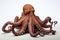 Close up of a vibrant octopus with tentacles outstretched, isolated on a clean white background