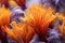 close-up of vibrant saffron stigmas on a flower