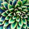 A close-up of a vibrant succulent plant2, Generative AI