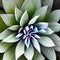 A close-up of a vibrant succulent plant3, Generative AI